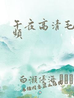 午夜高清毛片视频