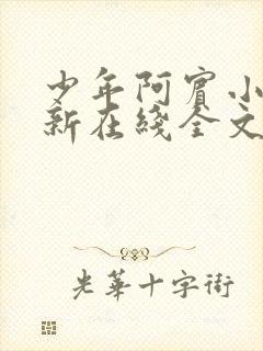 少年阿宾小说最新在线全文阅读