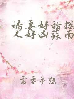 娇妻好甜总裁大人好凶苏南风全文阅读