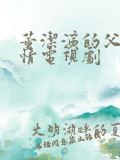 董洁演的父母爱情电视剧