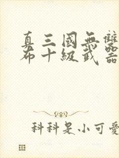 真三国无双3吕布十级武器