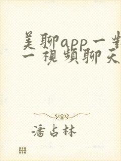 美聊app一对一视频聊天