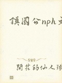 镇国公nph文