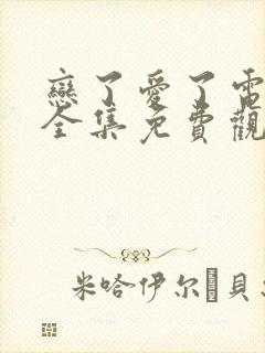 恋了爱了电视剧全集免费观看