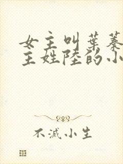 女主叫叶蓁蓁男主姓陆的小说