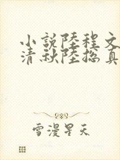 小说陆程文,冷清秋陆总真苟