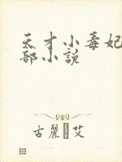 天才小毒妃第三部小说