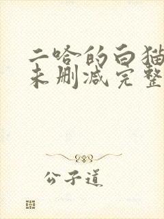 二哈的白猫师尊未删减完整版小说
