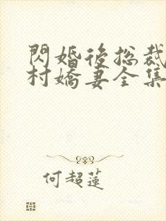 闪婚后总裁的农村娇妻全集