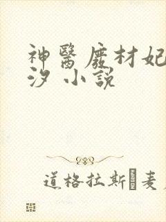 神医废材妃云芷汐 小说