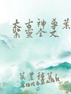 太古神尊叶风叶紫灵全文