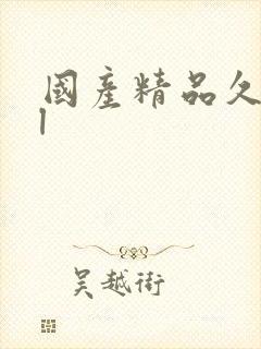 国产精品久久久l