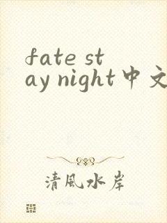 fate stay night中文翻译