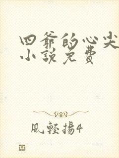 四爷的心尖宠妃小说免费