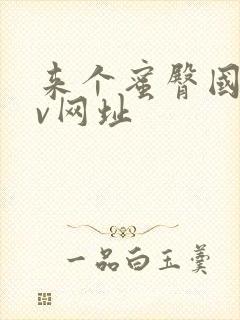 来个蜜臀国产av网址