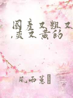 国产又粗又猛又,爽又黄的