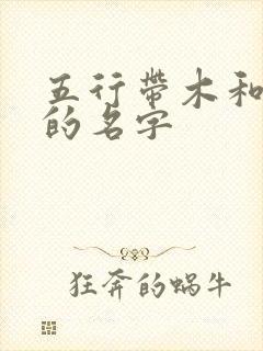 五行带木和带土的名字