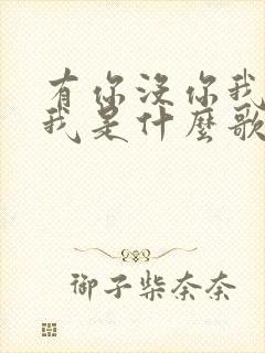 有你没你我都是我是什么歌