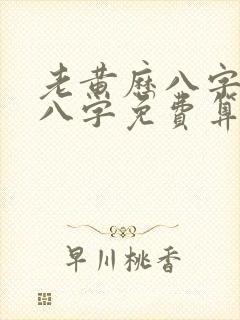 老黄历八字算命八字免费算命网