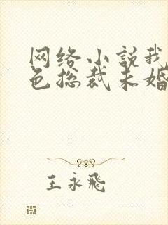 网络小说我的绝色总裁未婚妻