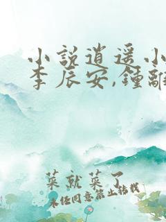 小说逍遥小贵婿李辰安,钟离若水