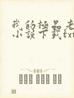 我的极品老婆 小说下载txt