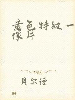 黄色特级一级录像片