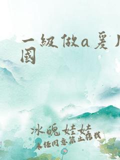 一级做a爰片韩国