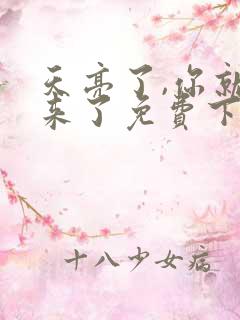 天亮了,你就回来了免费下载txt