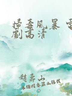 扫毒风暴 电视剧高清