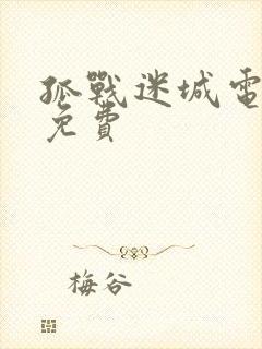 孤战迷城电视剧免费