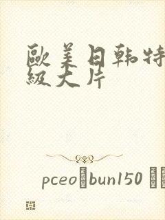 欧美日韩特黄一级大片