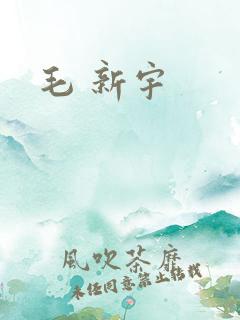 毛 新宇