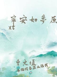 宁安如梦原著txt