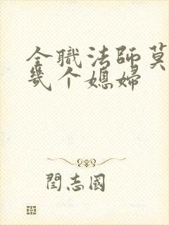 全职法师莫凡有几个媳妇