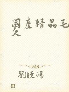 国产精品毛片久久