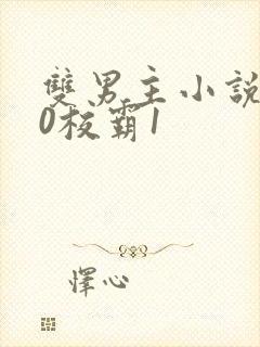 双男主小说学霸0校霸1