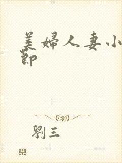 美妇人妻小说章节