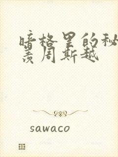 暗格里的秘密丁羡周斯越