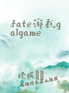 fate游戏galgame