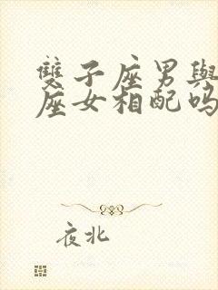 双子座男与摩羯座女相配吗