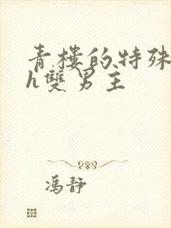 青楼的特殊调教h双男主