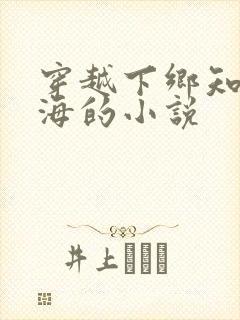 穿越下乡知青赶海的小说