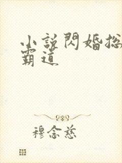 小说闪婚总裁太霸道