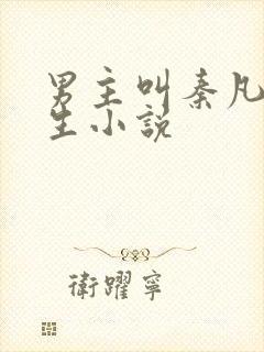 男主叫秦凡的重生小说