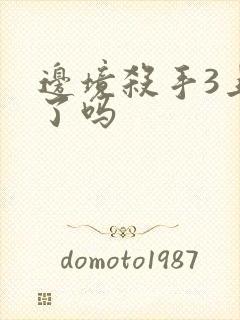 边境杀手3上映了吗