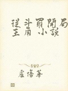 从斗罗开局猎杀主角 小说