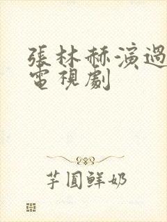 张林赫演过什么电视剧