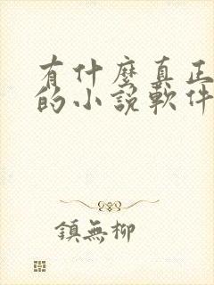 有什么真正免费的小说软件