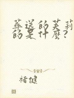 葬送的芙莉莲讲的是什么?